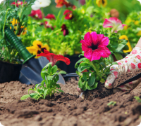 Gardening